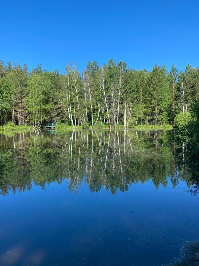 Forest And Lake Borovoe Extérieur photo